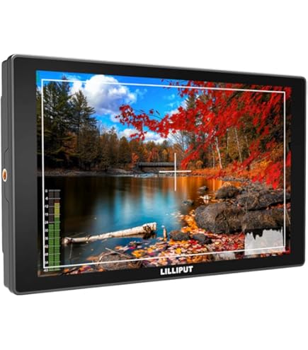 Amazon.co.jp: LILLIPUT BM120-4KS 12.5インチ Ultra-HD 3D-LUT&色補正